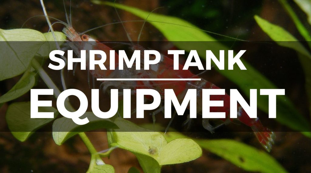shrimp tank supplies