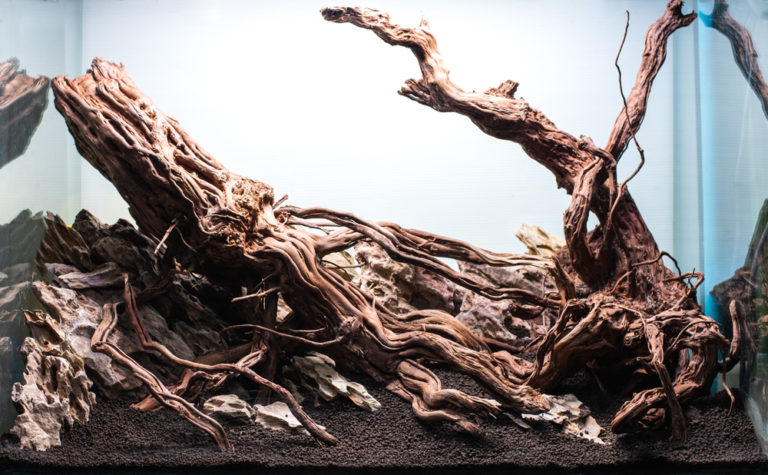 How To Put Aquarium Plants On Driftwood