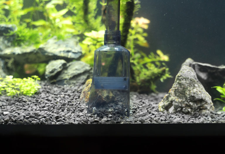 aquarium water change