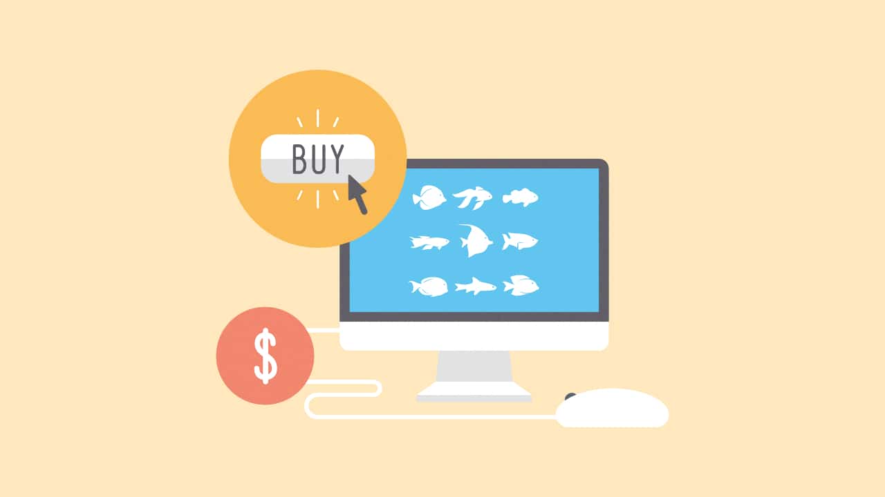 buy saltwater fish online
