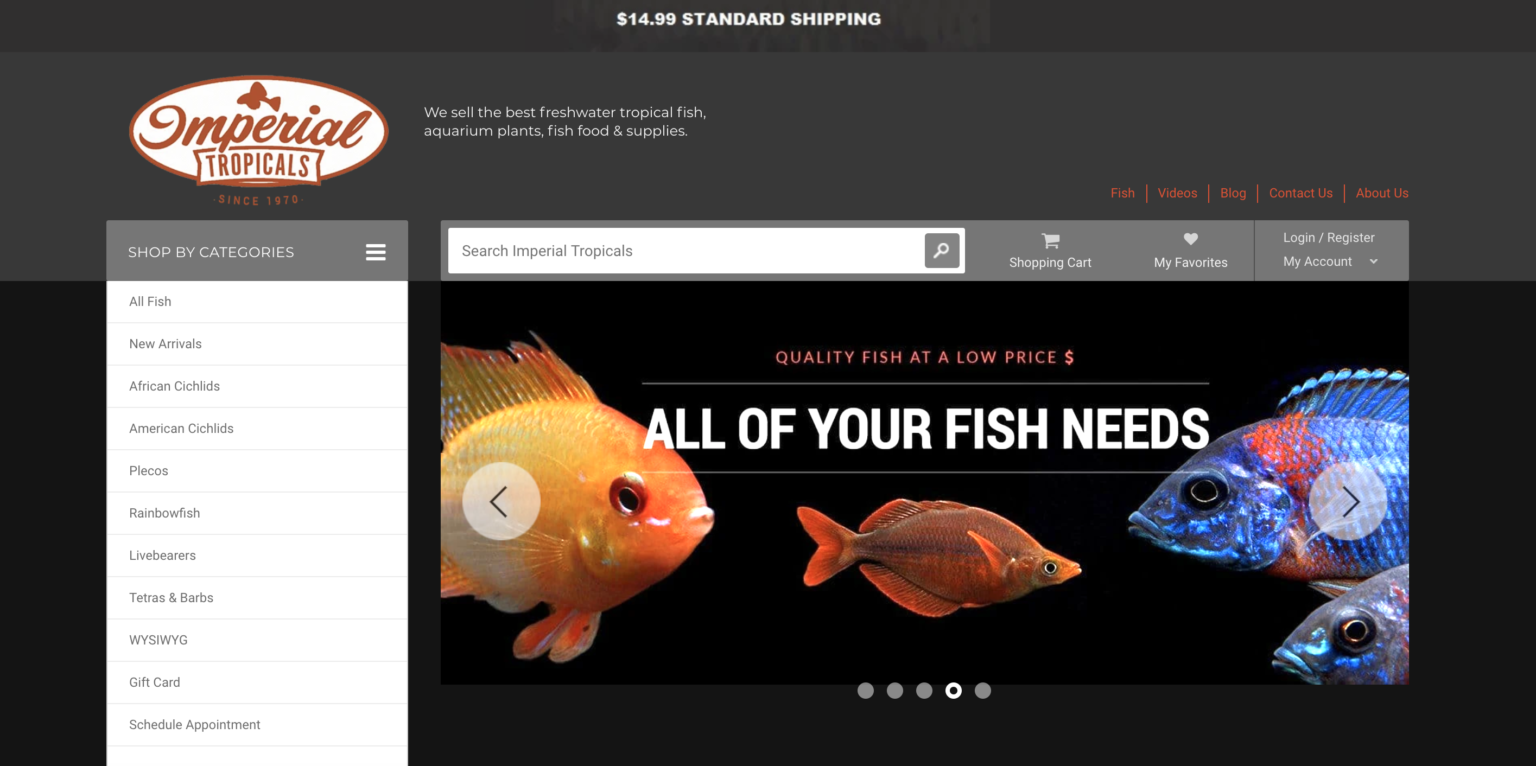 12 Best Online Fish Stores to Buy Live Fish, Plants, Shrimp & More