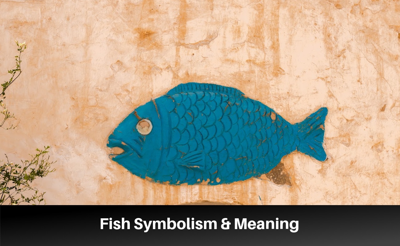 Fish Symbolism And Spiritual Meanings